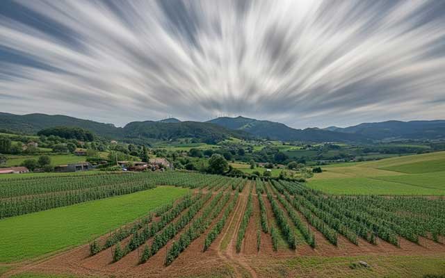 tierra-vaqueira-campos-de-fabas-asturianas-en-san-martin-de-luiña