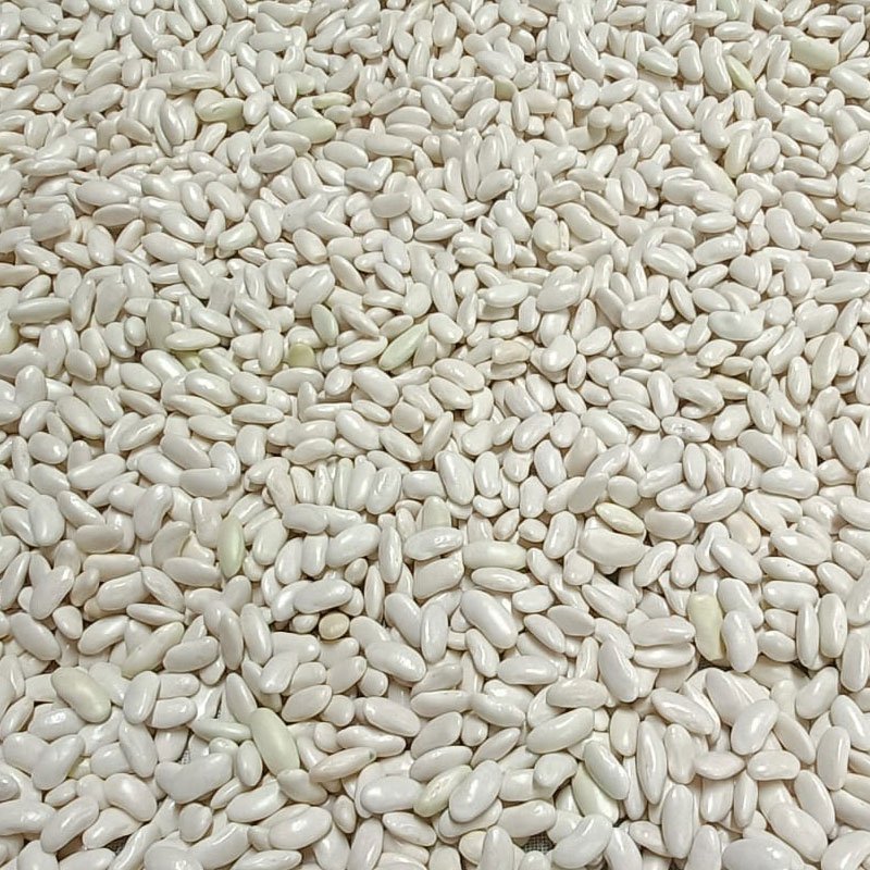 Vaqueira--judias-alubias-a-granel-calidad-precio