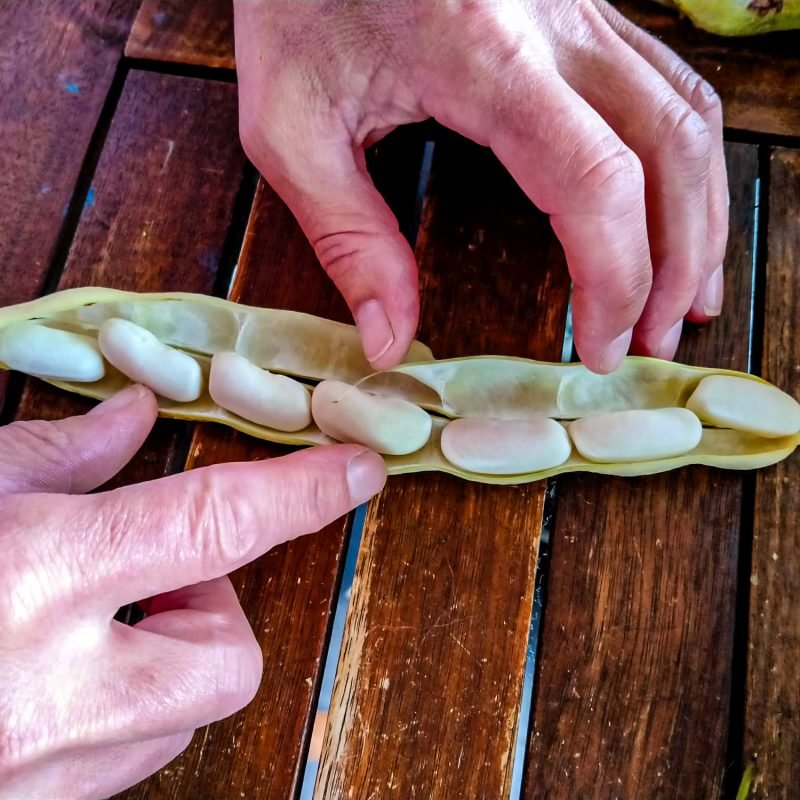 Imagen de WhatsApp 2025-11-13 a las 15.14.54_809b02e7