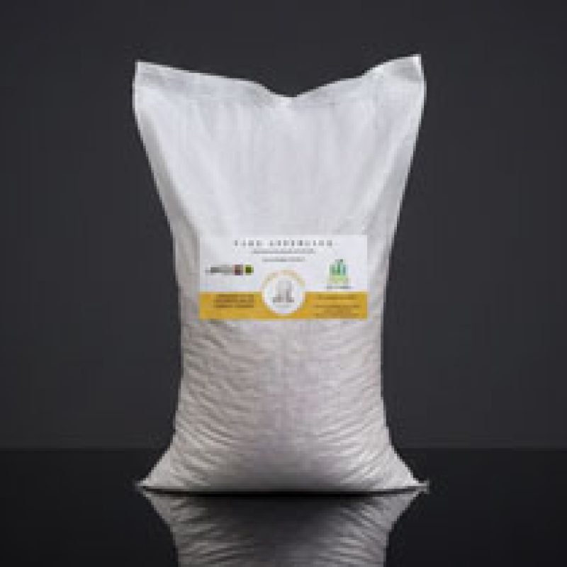 Vaqueira-Faba-Asturiana-IGP-Especial-Hostelería-5--y-10-Kg