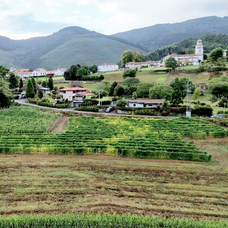 Vaqueira-contacta-con-tierra-vaqueira-san-martin-de-luña