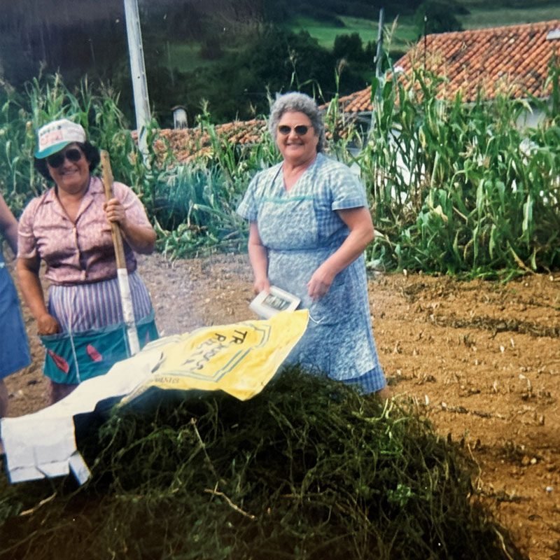 Vaqueira--la-familia-unida-cultivando-fabas-asturianas-historia